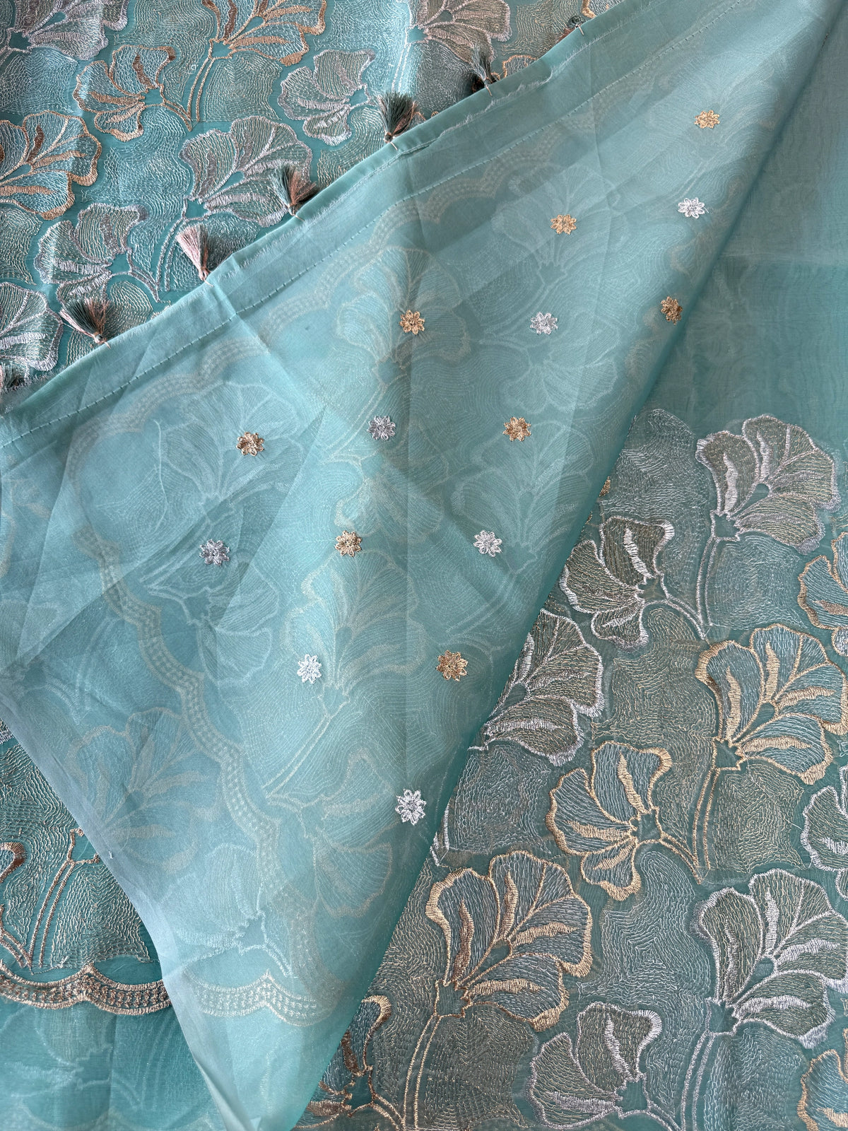 Organza Saree/ SS842