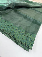 Glass Organza Saree / 199B