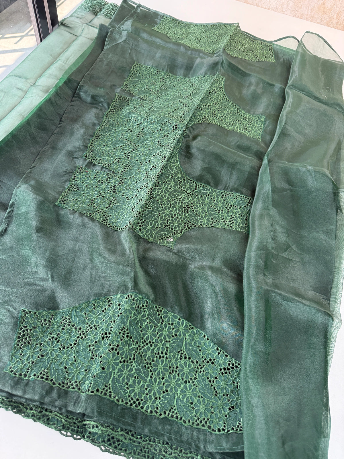 Glass Organza Saree / 199B
