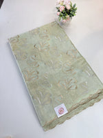Organza Saree/ SS842