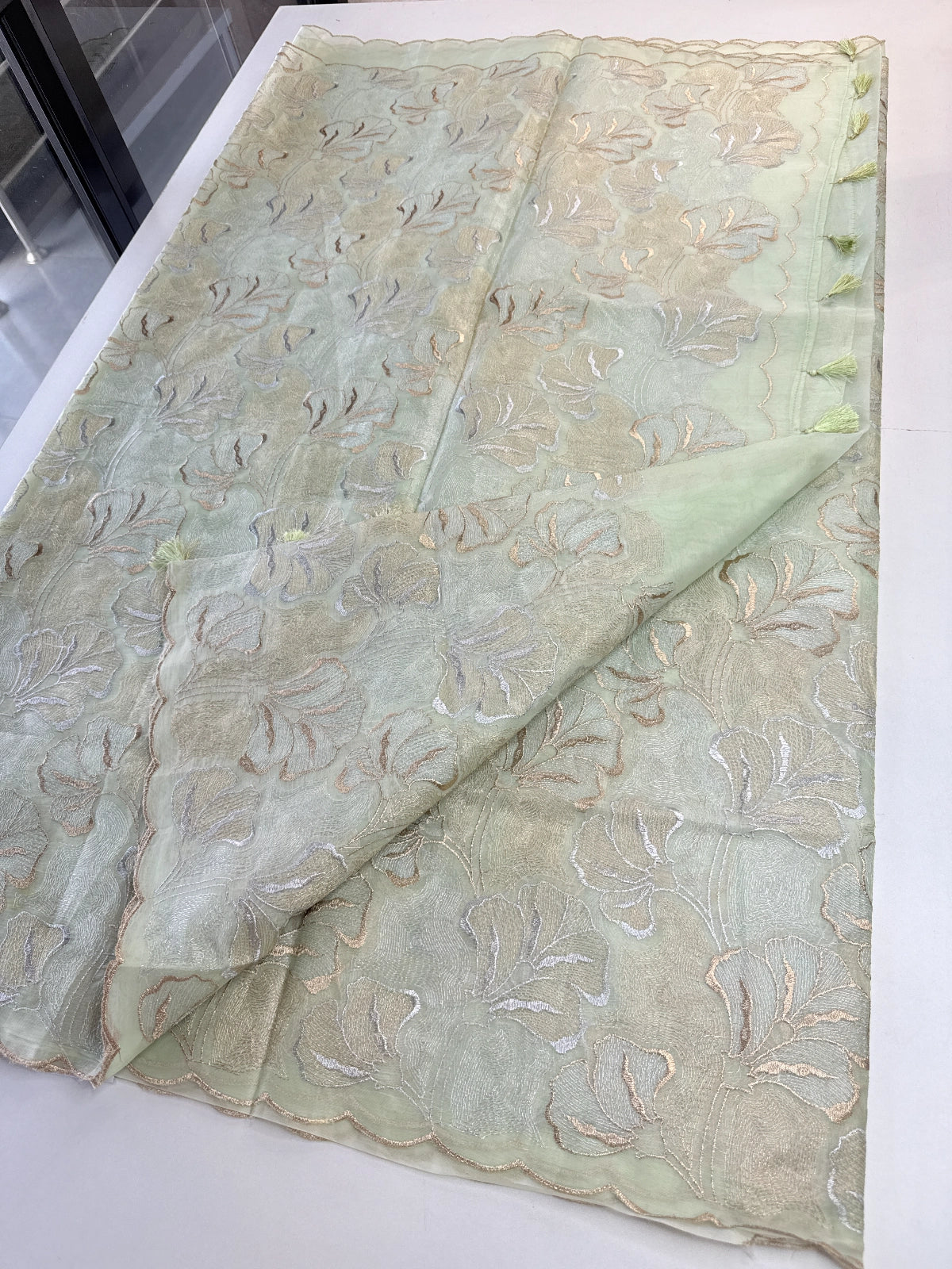Organza Saree/ SS842