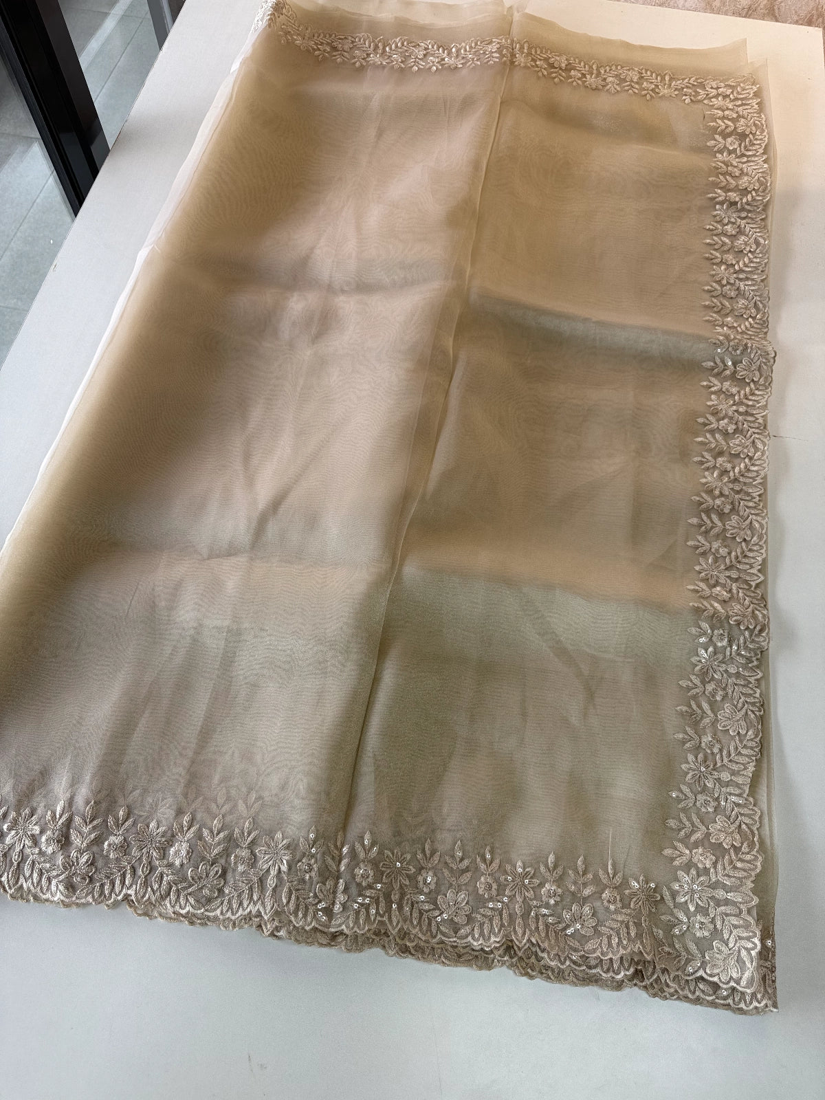 Glass Organza Saree / CW150