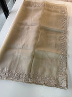 Glass Organza Saree / CW150