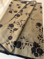 Kotta saree with appliqué/ RH298
