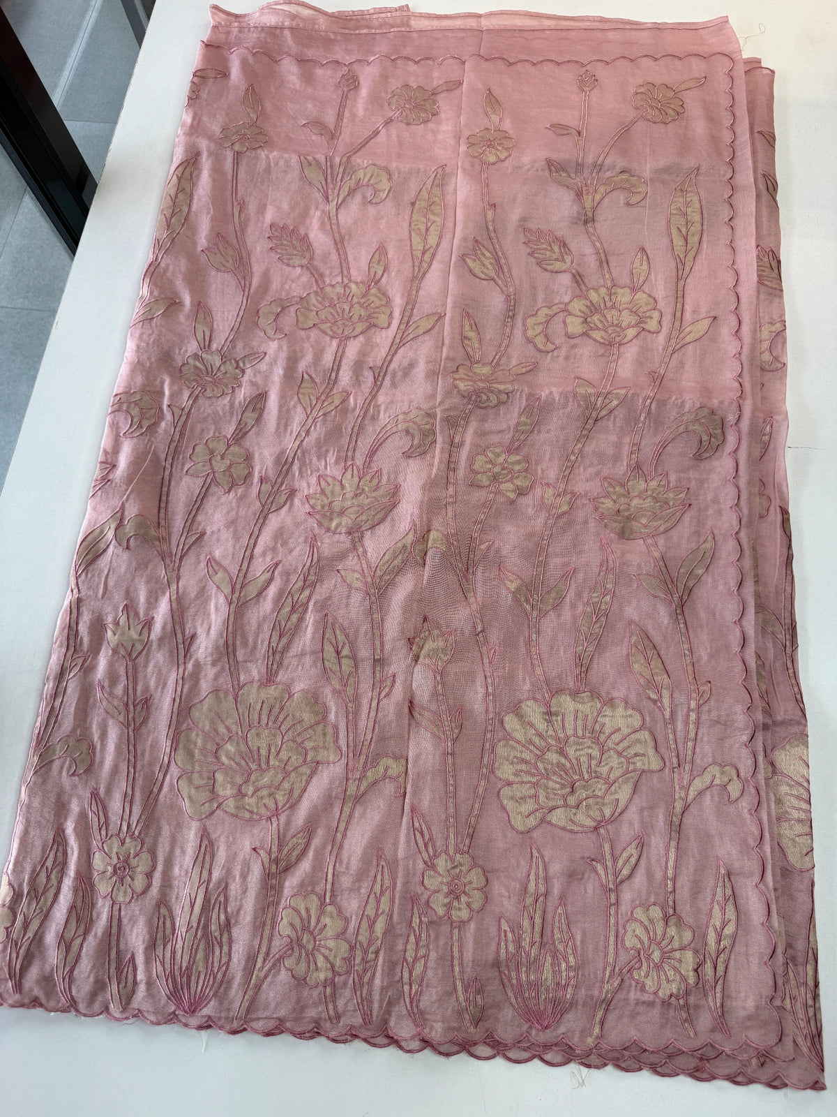 Tissue Georgette Saree/ WS58