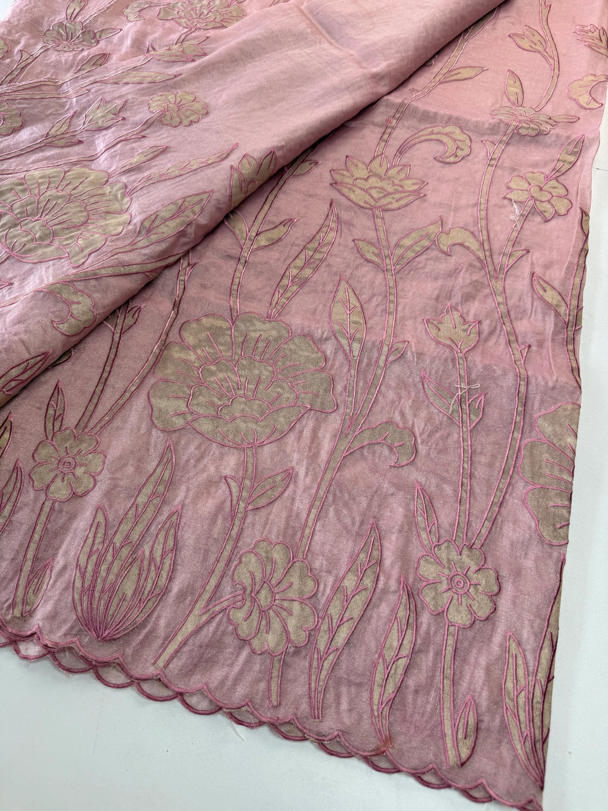 Tissue Georgette Saree/ WS58