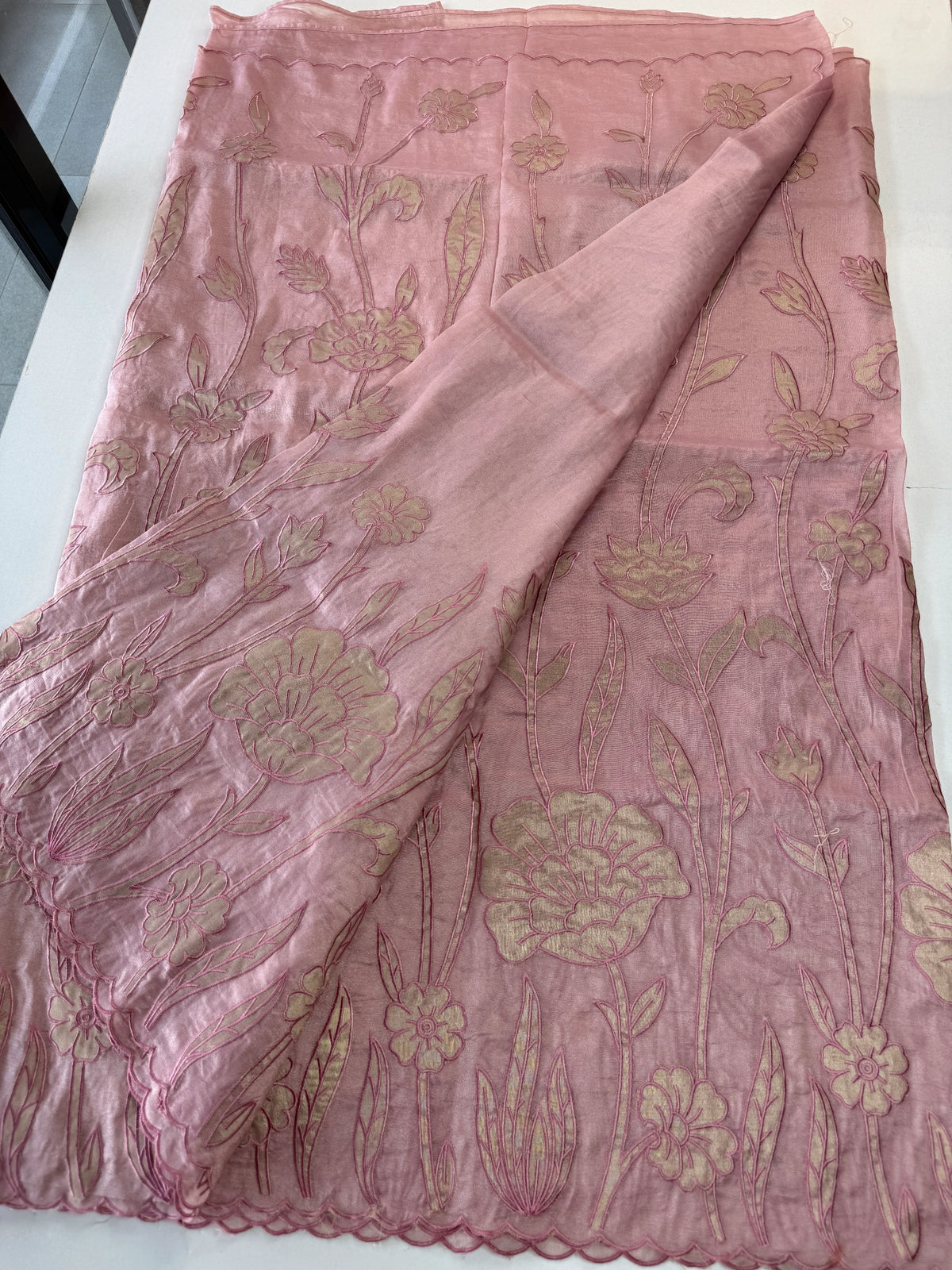 Tissue Georgette Saree/ WS58