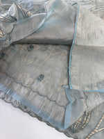 Tissue Georgette Saree/ WS58