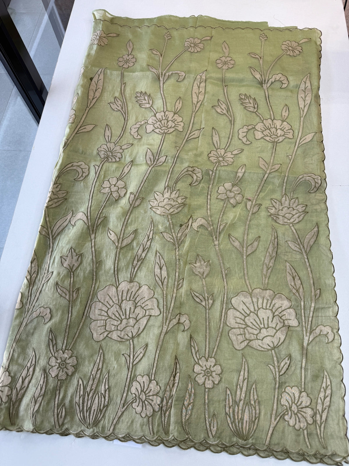 Tissue Georgette Saree/ WS58