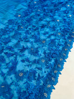 Soft organza party wear saree/ CW839
