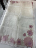 Glass Organza Saree/ HW328