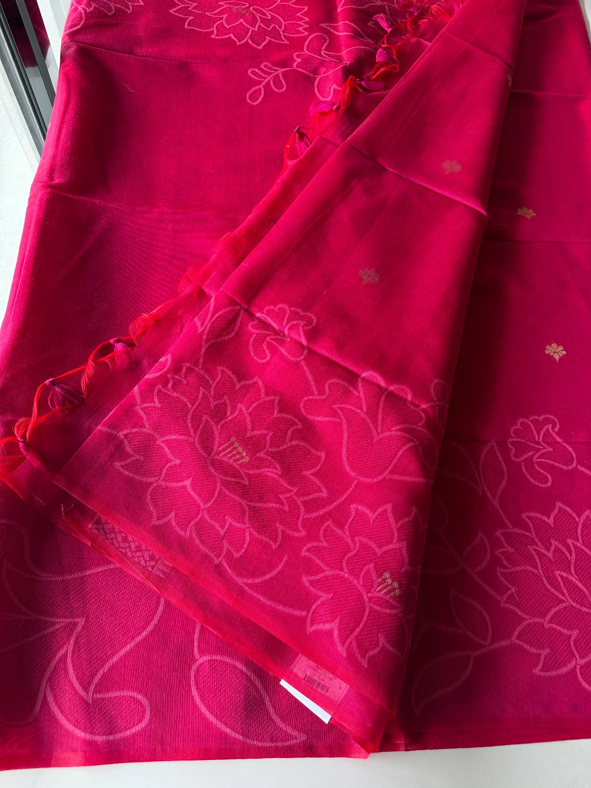 Chanderi cotton Saree / CY18