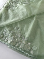 Soft Organza saree / HW330