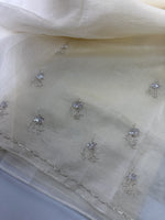 Crushed Tissue / HW129