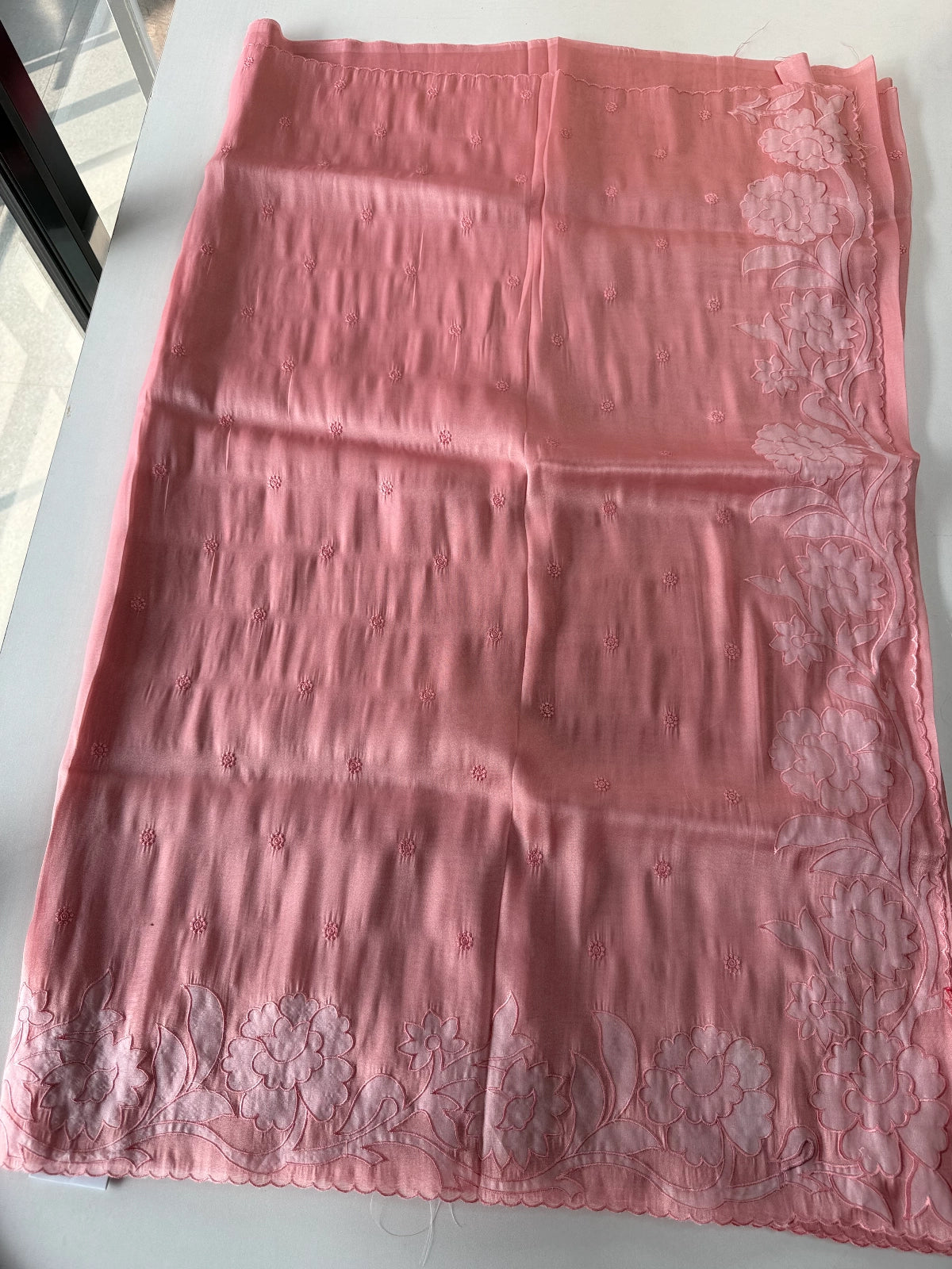 Tissue Organza Saree / CK093
