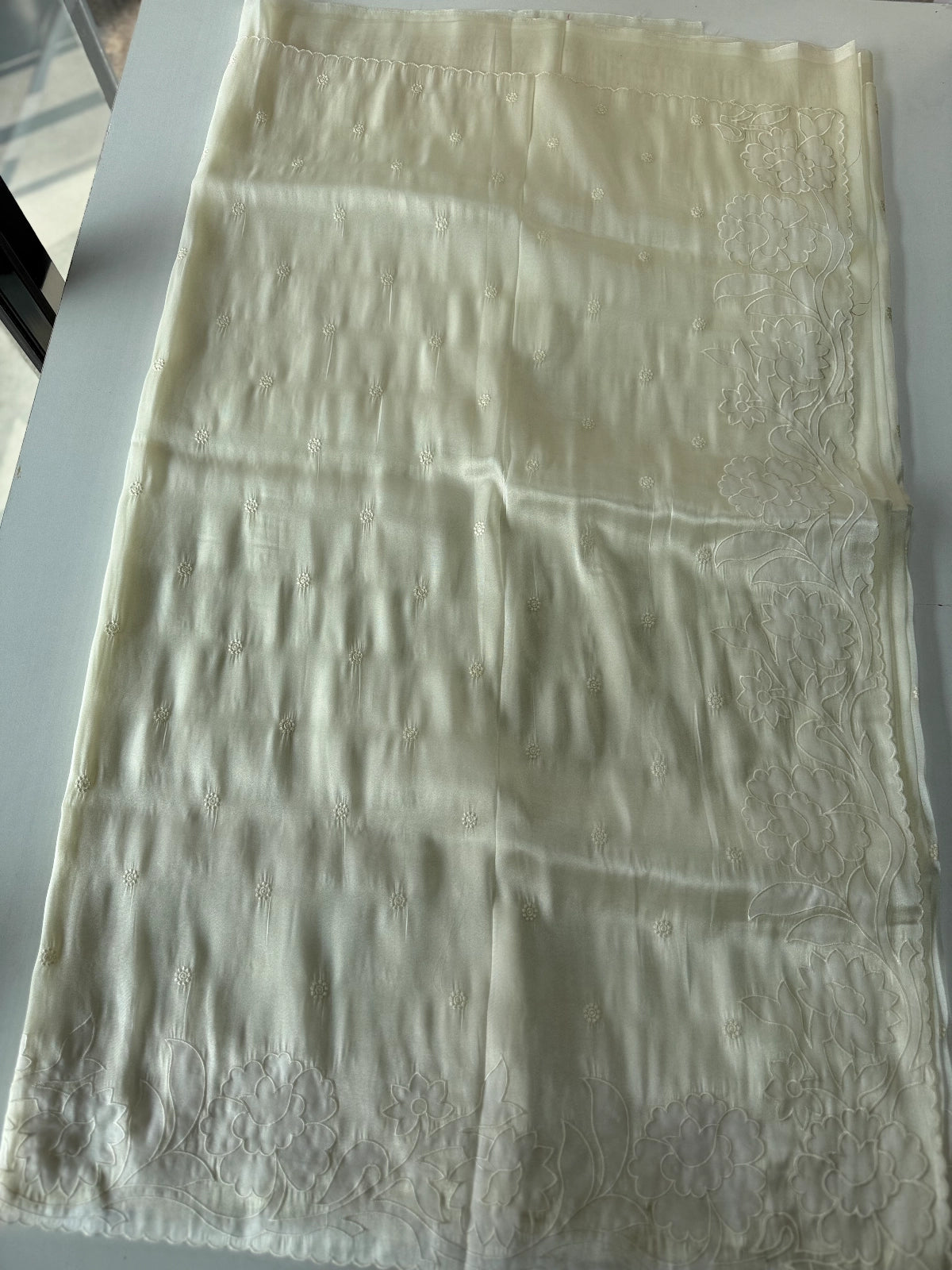 Tissue Organza Saree / CK093