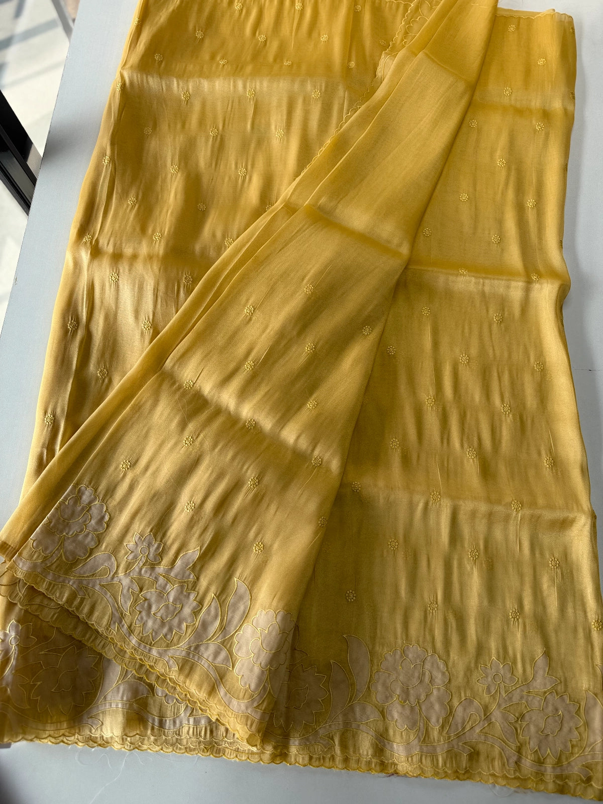 Tissue Organza Saree / CK093