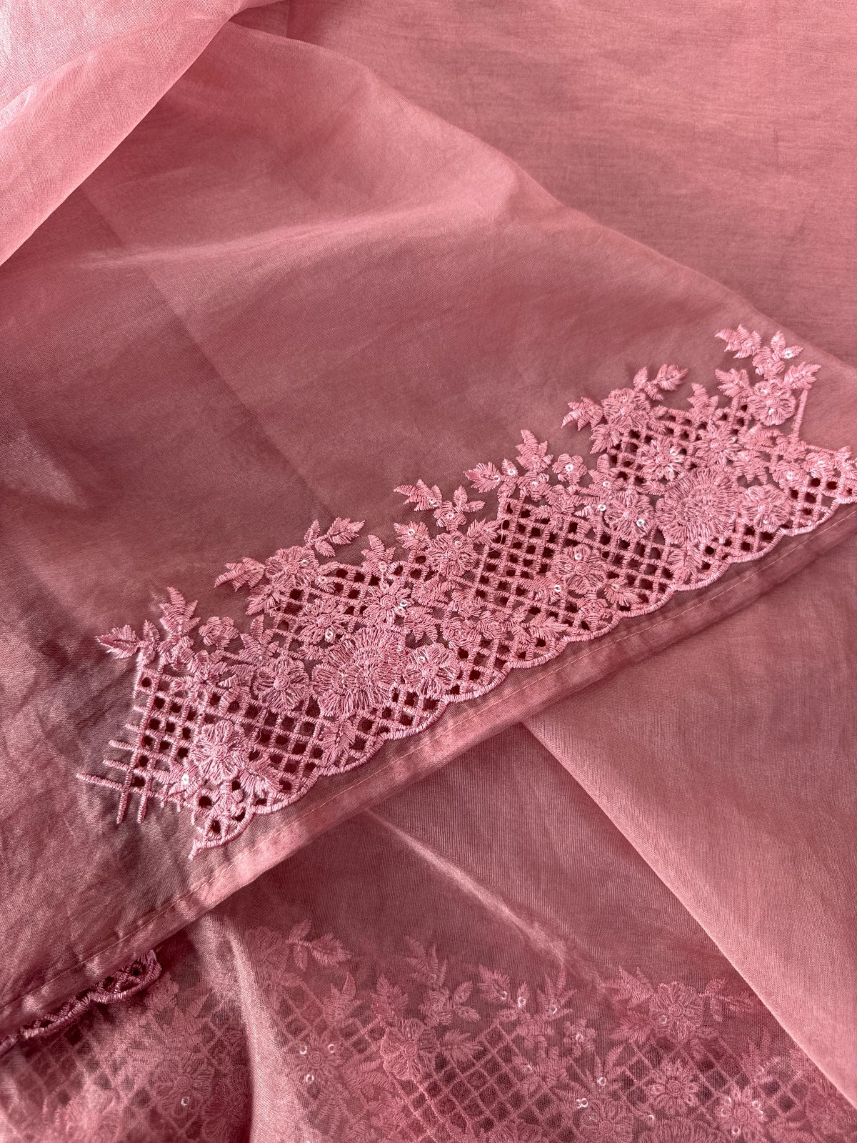 Soft Organza Saree / CW222
