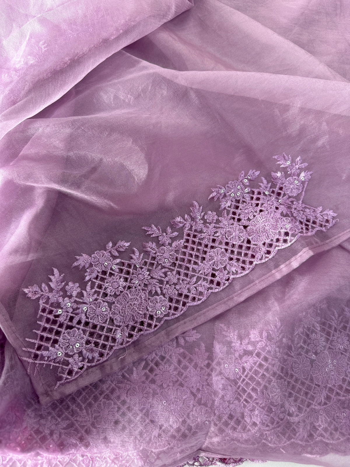 Soft Organza Saree / CW222