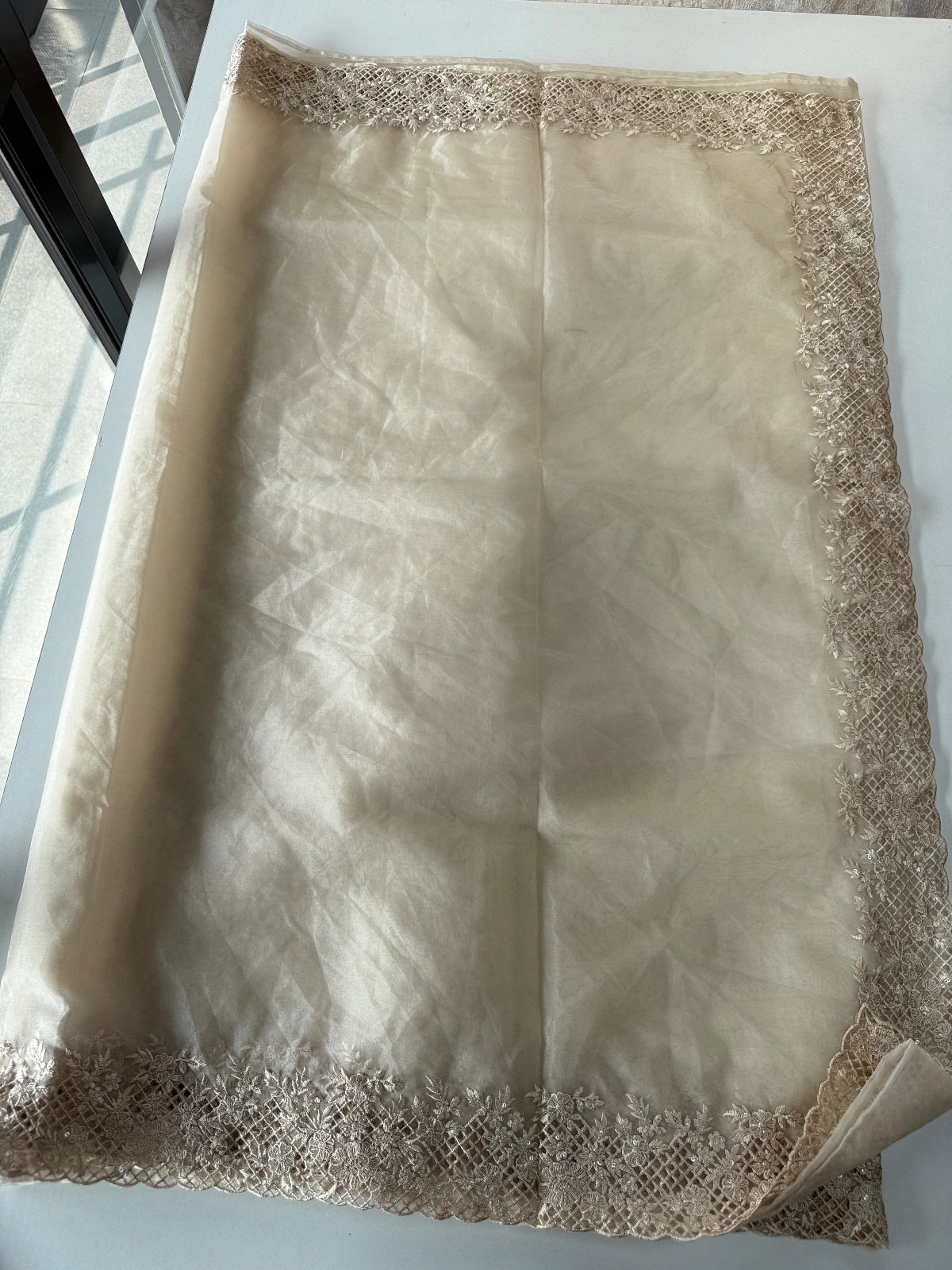 Soft Organza Saree / CW222