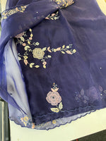 Glass Organza Saree/ SA007