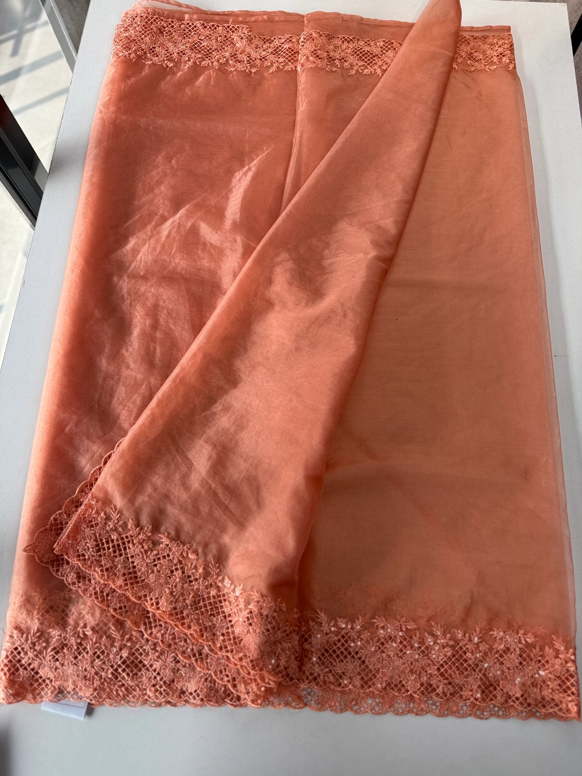 Soft Organza Saree / CW222