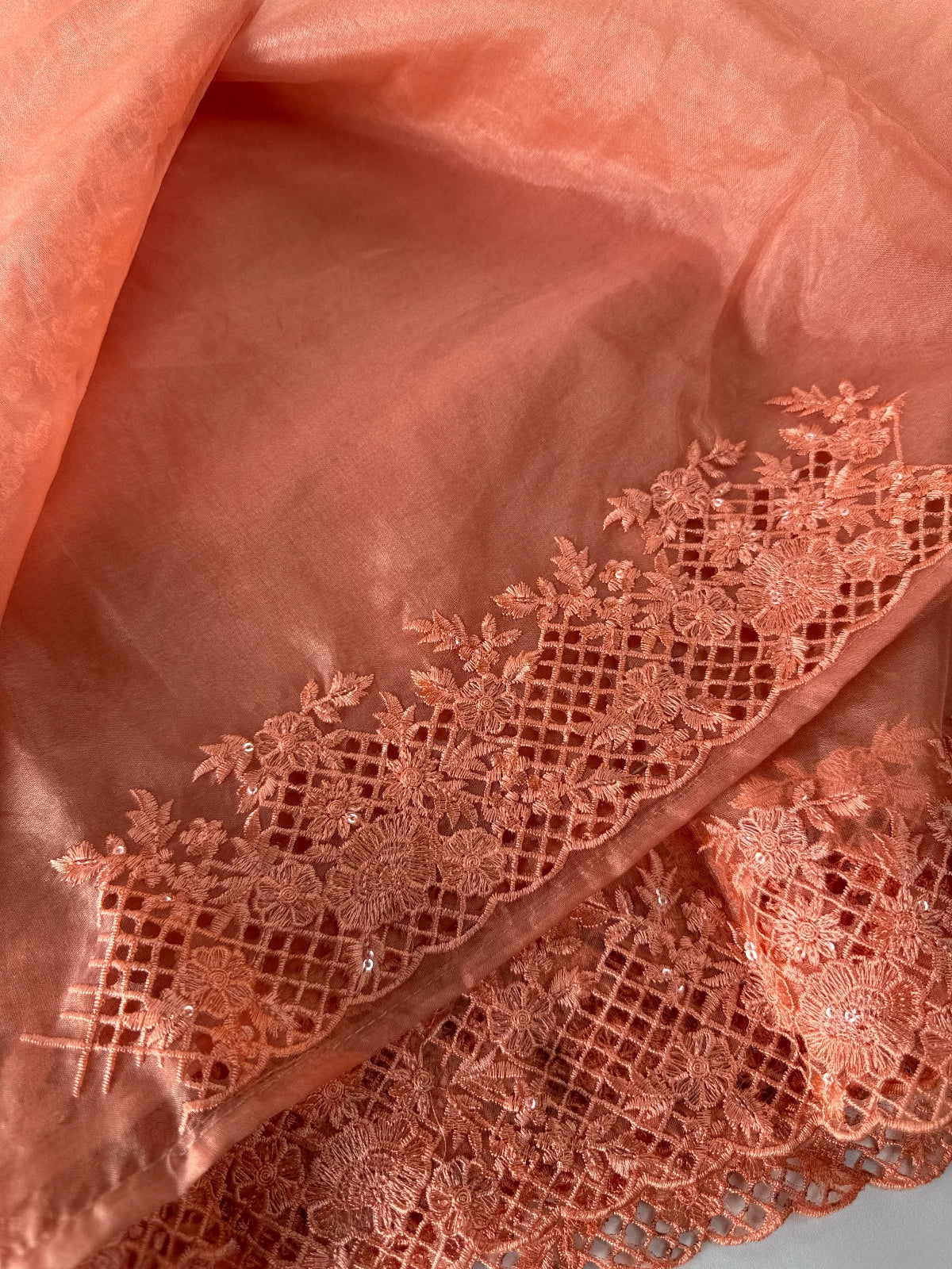 Soft Organza Saree / CW222