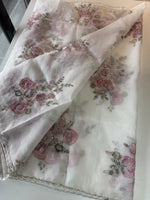 Organza saree / DG265