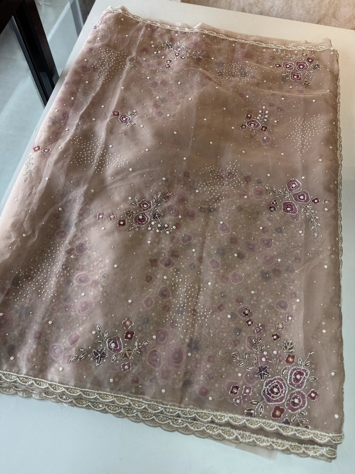 Organza Saree / J3231