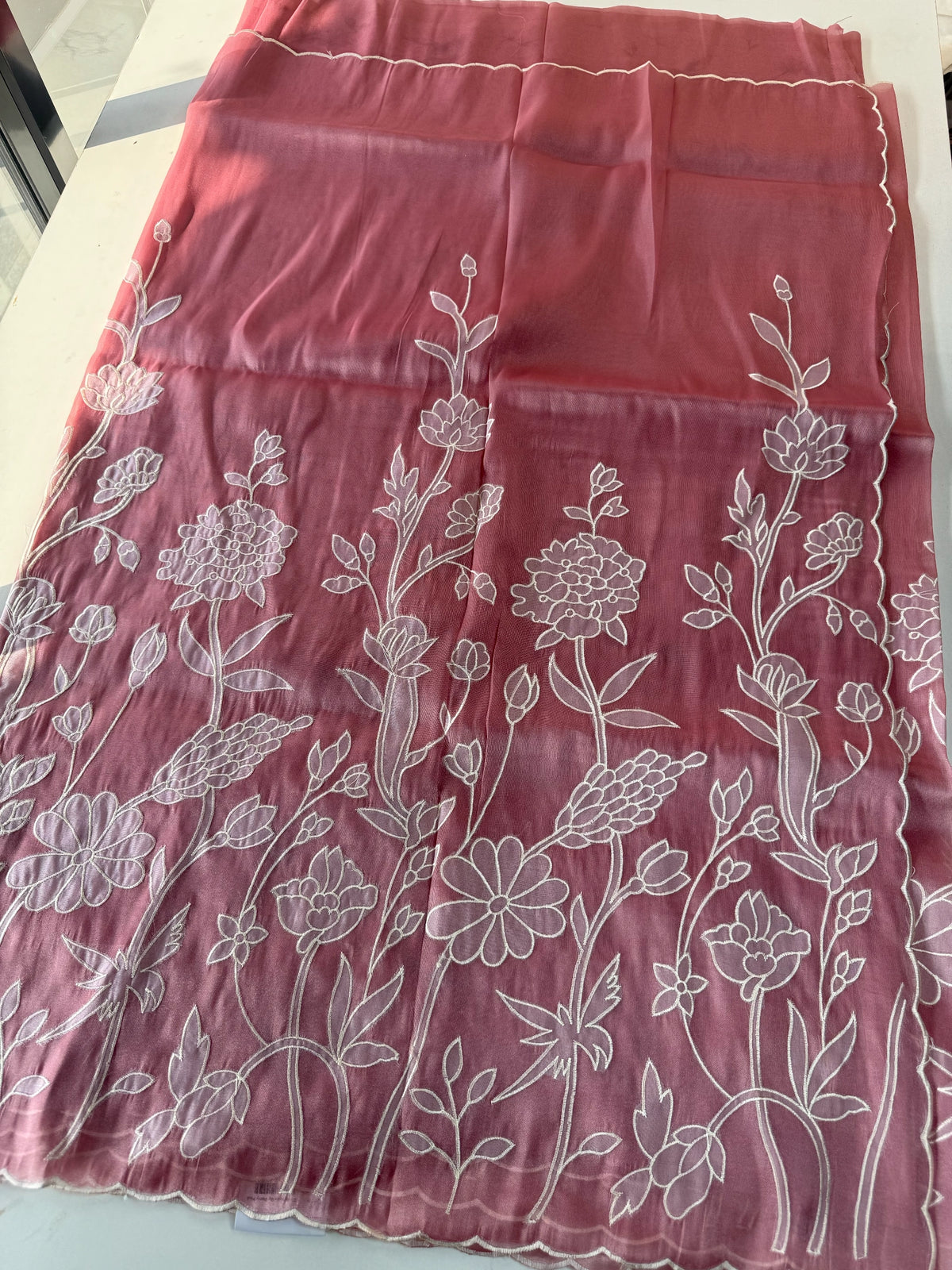 Tissue organza Saree/ RKF03