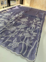 Tissue organza Saree/ RKF03