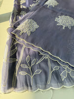 Tissue organza Saree/ RKF03