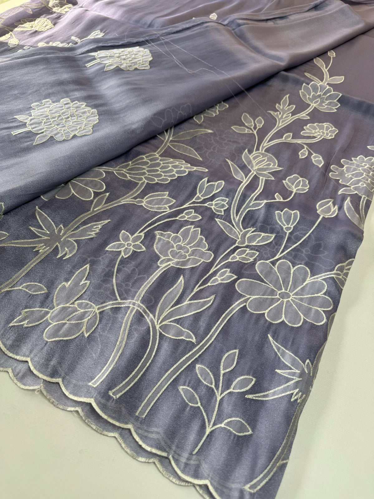 Tissue organza Saree/ RKF03