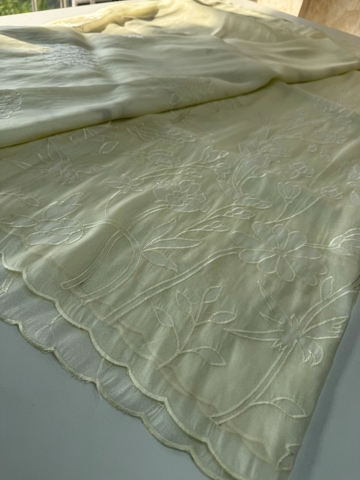 Tissue organza Saree/ RKF03