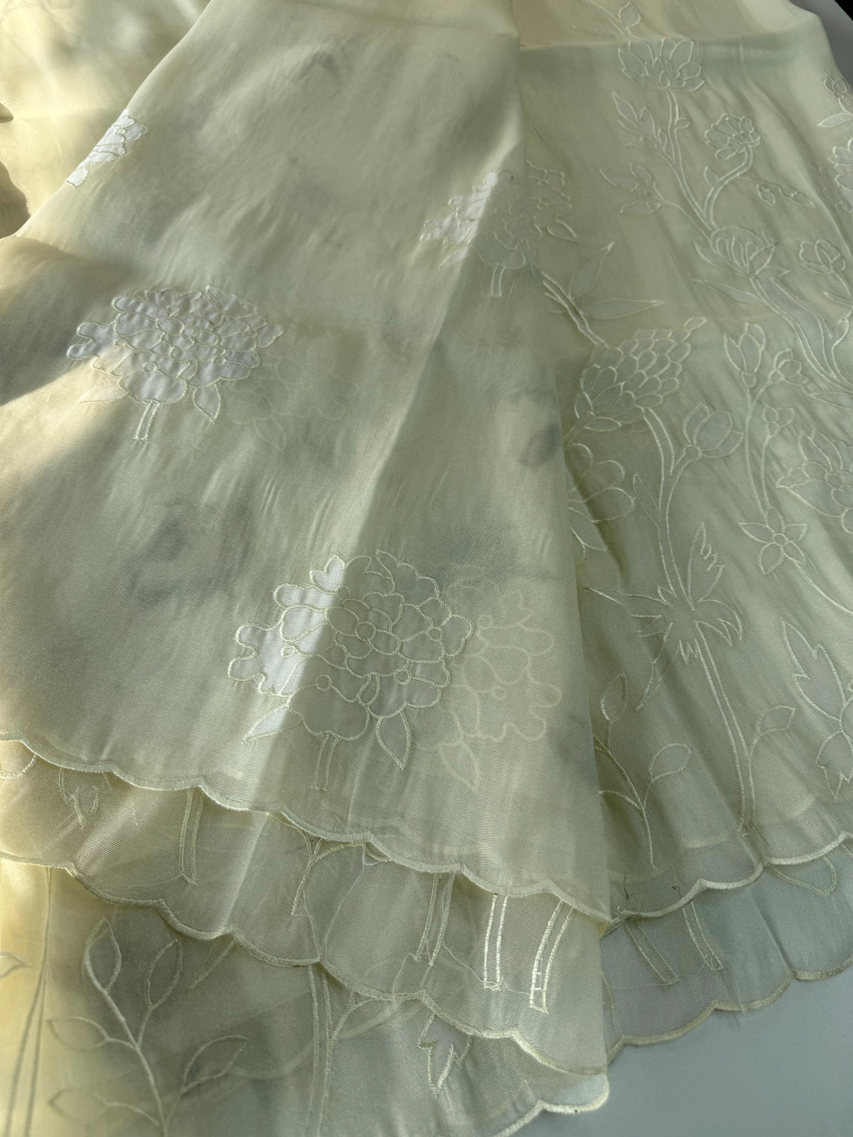 Tissue organza Saree/ RKF03
