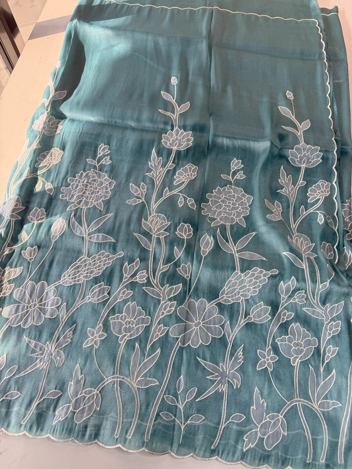 Tissue organza Saree/ RKF03