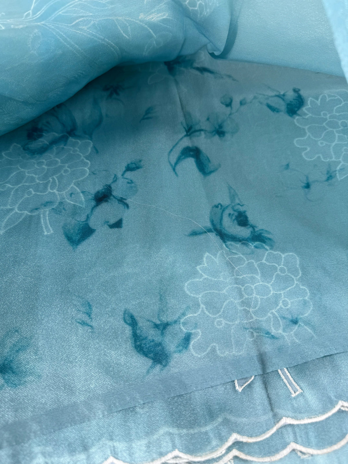 Tissue organza Saree/ RKF03