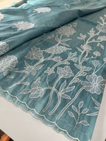 Tissue organza Saree/ RKF03