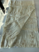 Tissue Organza Saree/ RKF04