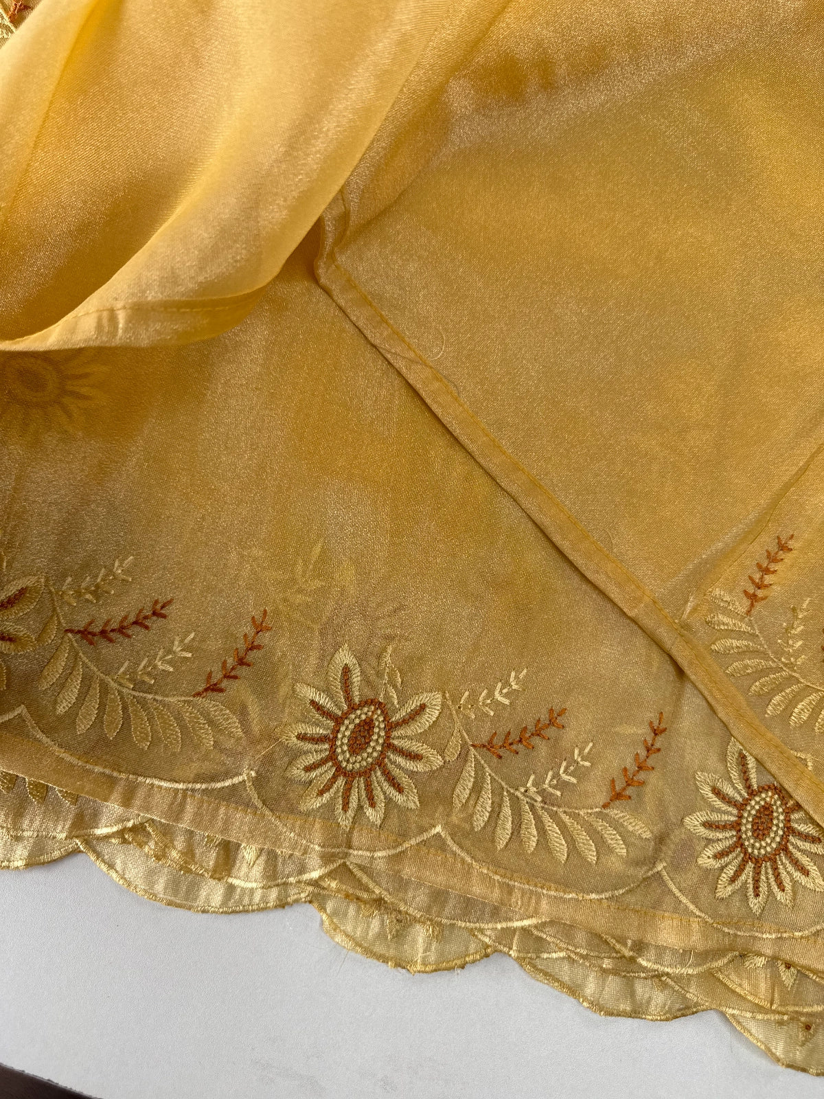 Tissue Organza Saree/ RKF04