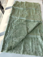 Tissue Organza Saree/ RKF04