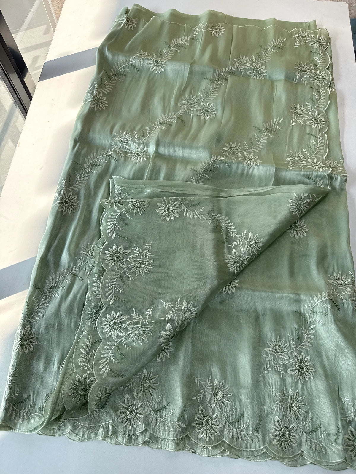 Tissue Organza Saree/ RKF04