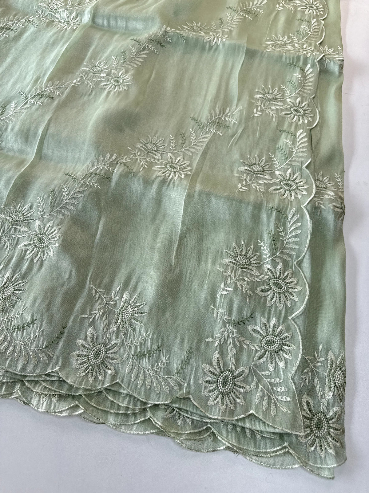 Tissue Organza Saree/ RKF04