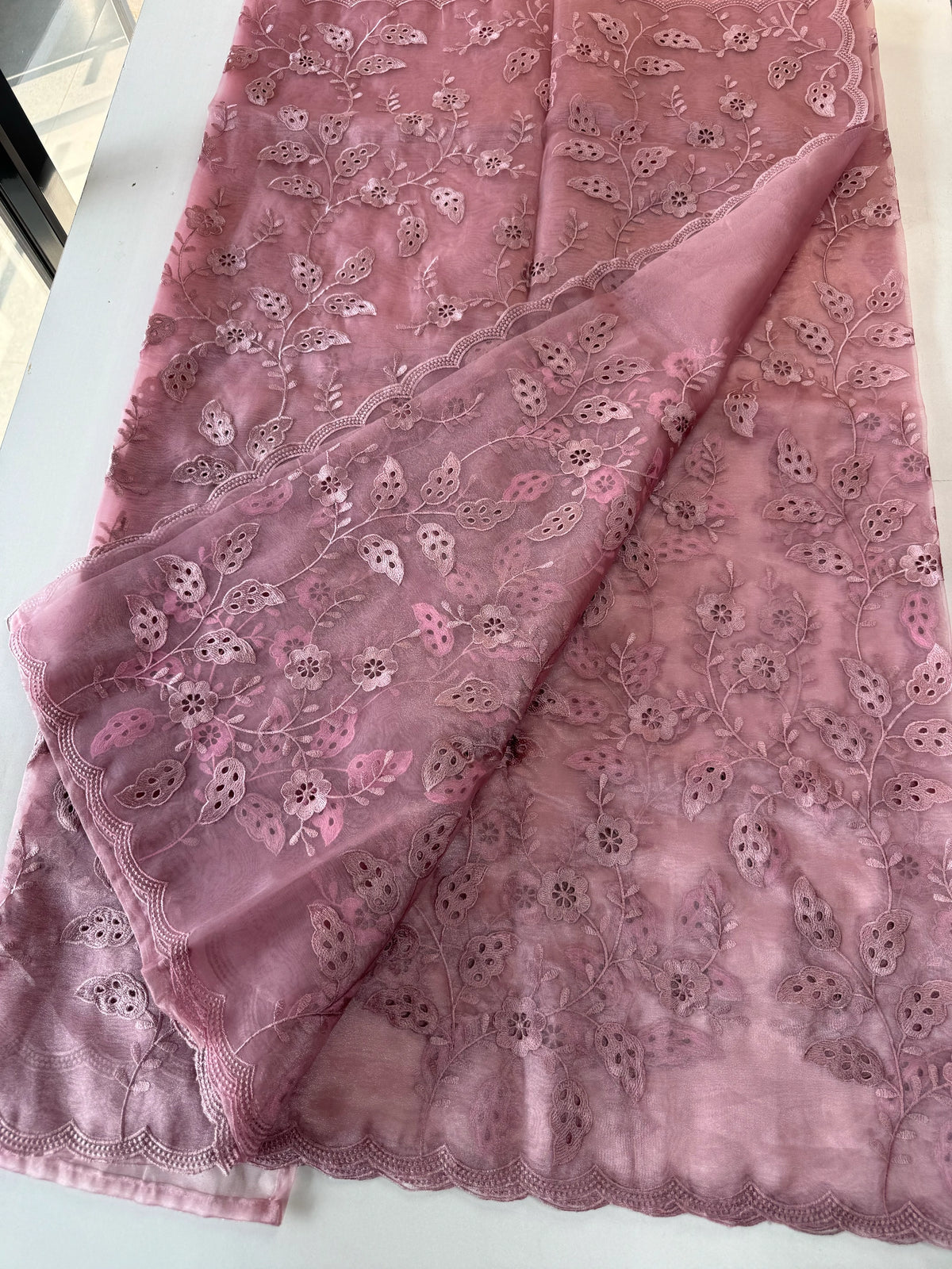 Organza Saree/GCW48