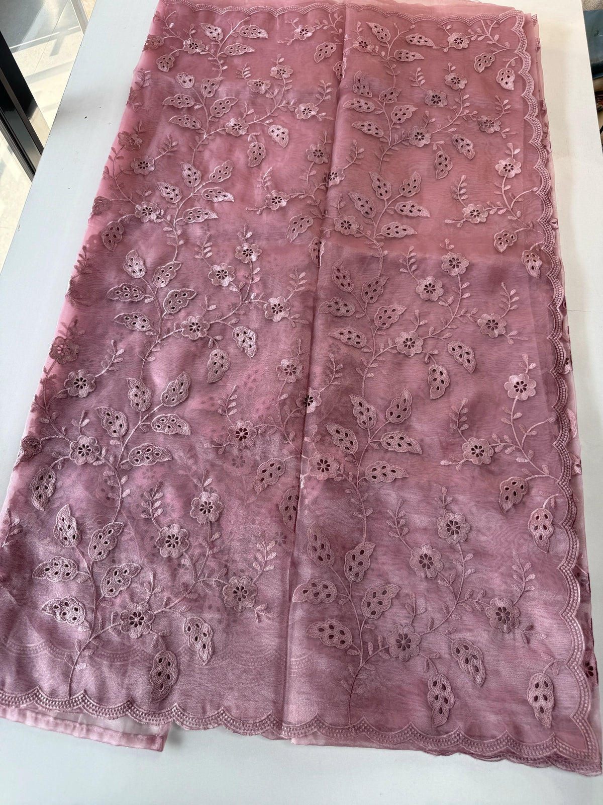 Organza Saree/GCW48
