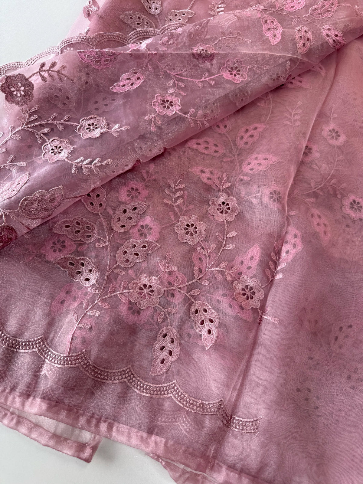 Organza Saree/GCW48