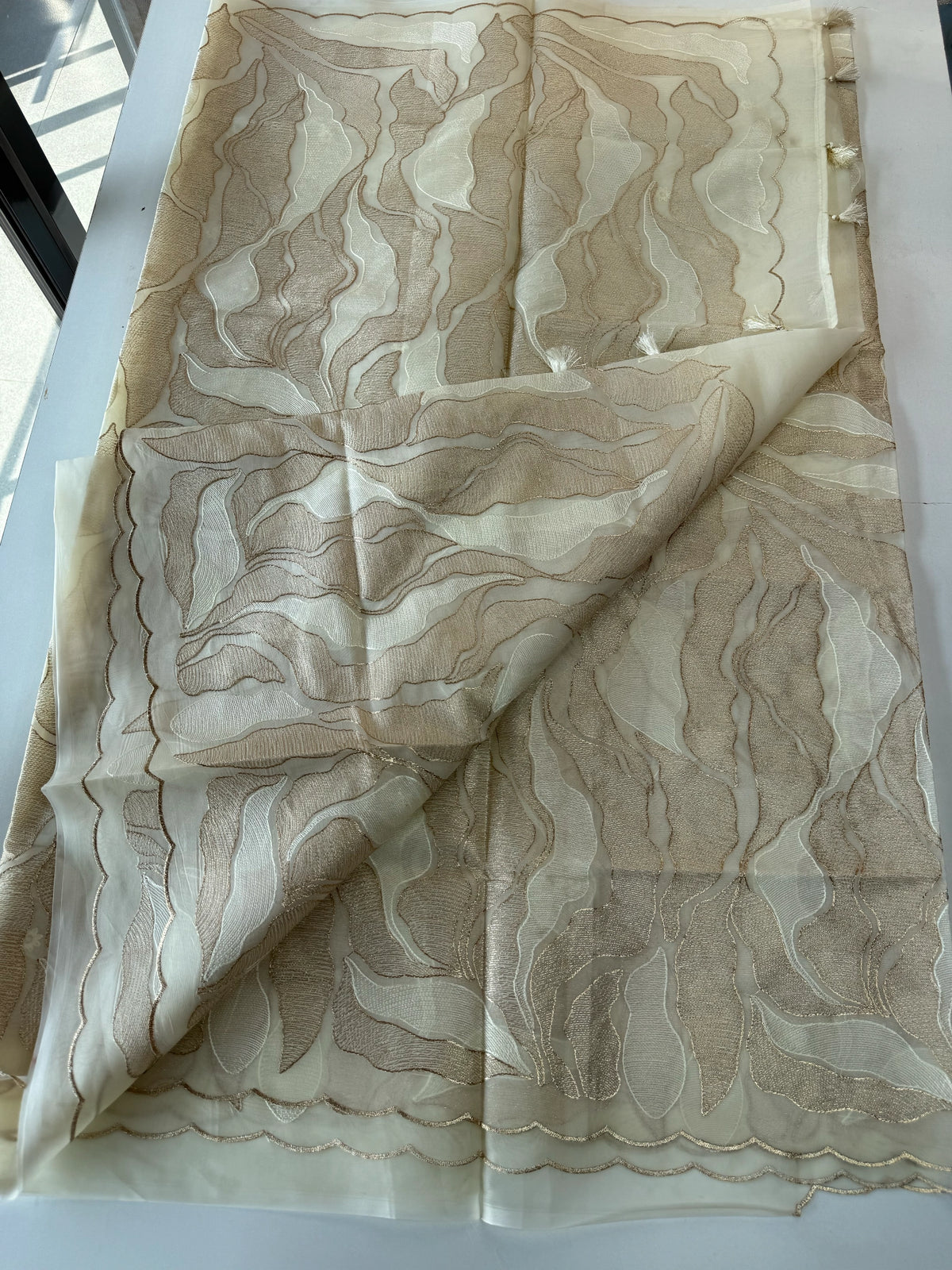 Organza Saree/ 839A