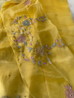 Glass Organza Saree/ SA007