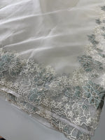 Soft Organza Saree/ CW287