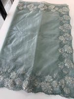 Soft Organza Saree/ CW287
